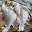 Khô cá đổng (cá hường) thơm ngon, an toàn